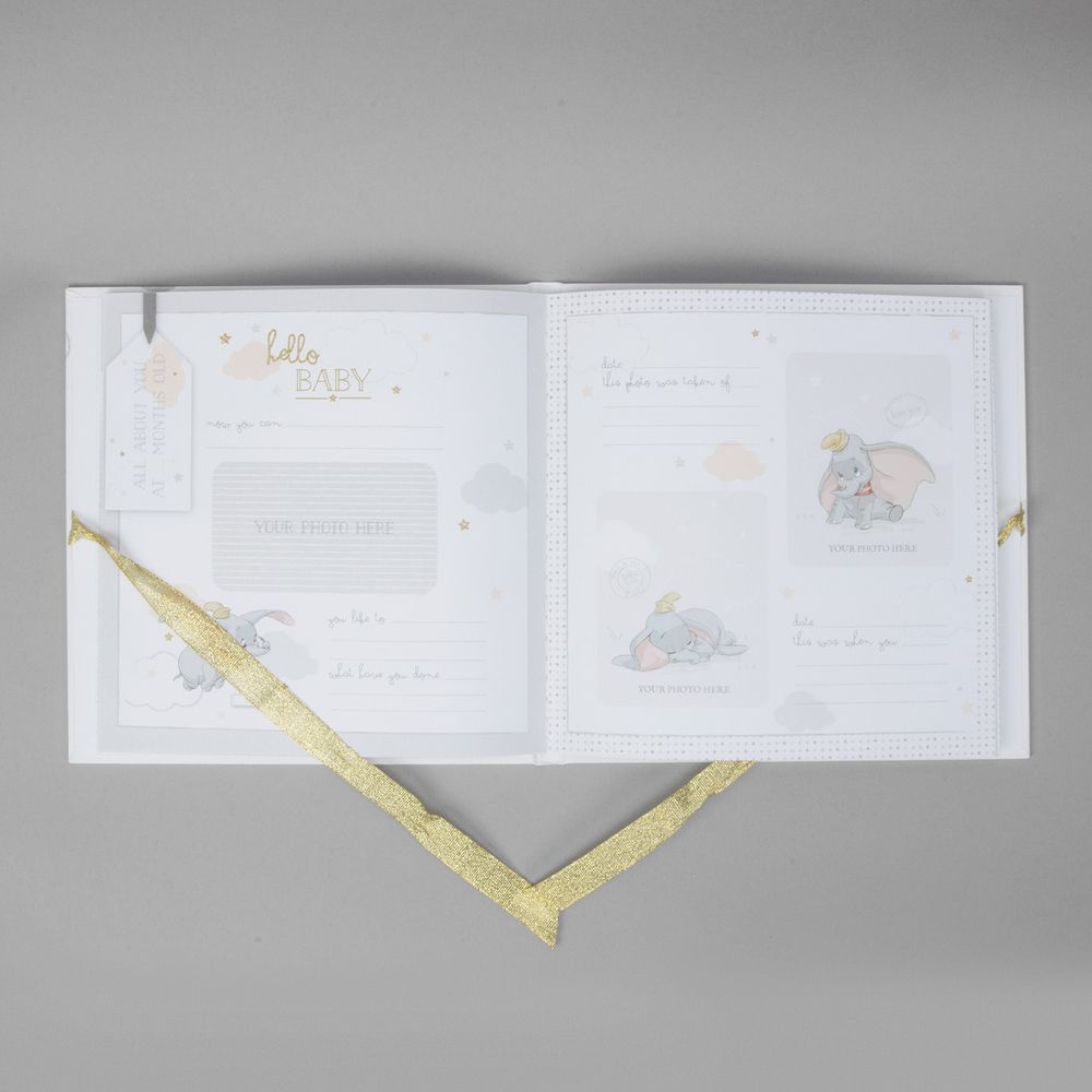 Disney Magical Beginnings My First Year Photo Record Book