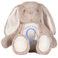 Easter design 10 personalised Easter bunny teddy