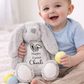 SnuggleMe Personalised Teddy - 19cm SELECT CHARACTER & DESIGN