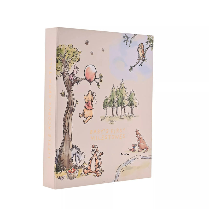 Disney Winnie The Pooh Milestone Keepsake Set