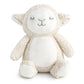 Teddy Tester