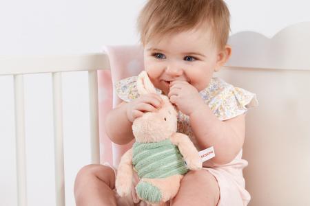 Hundred Acre Wood Piglet Soft Toy