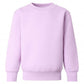 Teddybear design Personalised Birthday Jumper - Various Colours